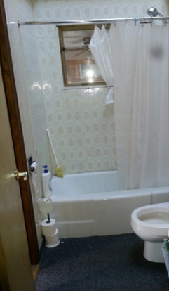 Bathroom Before Pic